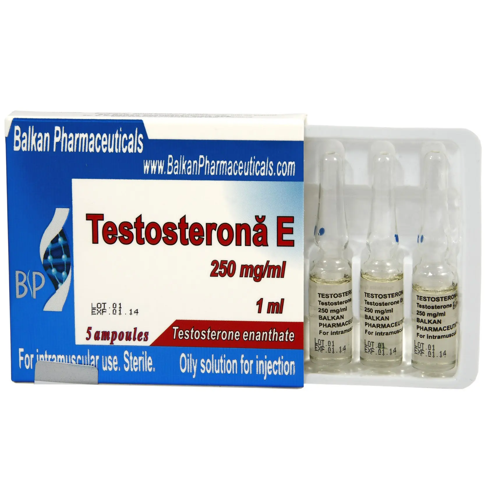 Testosterona E / Testosterone Enanthate testosterona e for sale